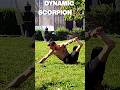 ✅️ Mobility Patterns - Dynamican Scorpion 🦂 #mobility #mobilitydrills #mobilityflow