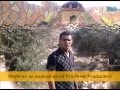 جرحي الي كان منك Mpg 