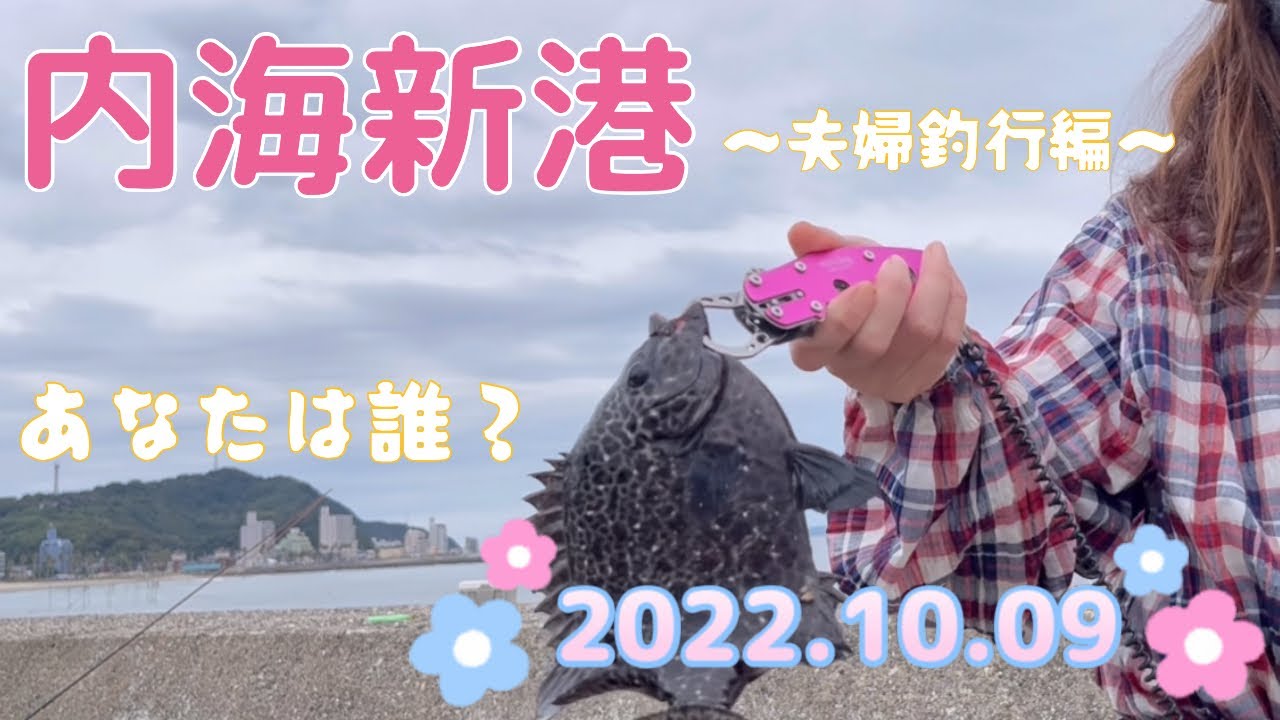 【釣り女子】内海新港で釣り🎣 あの高級魚が❣️ 2022.10.09