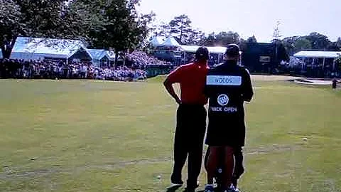 Tiger Hears a Fart