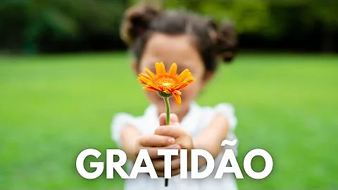O que a gratidão produz?