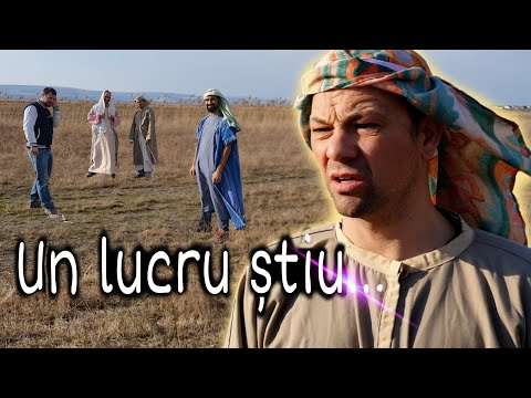 Video: Ce este un lucru viu și un lucru neviu?