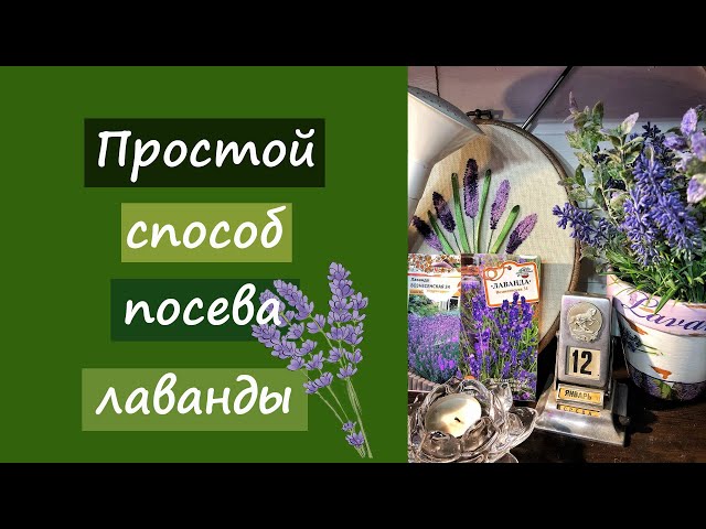 Выбор места для выращивания