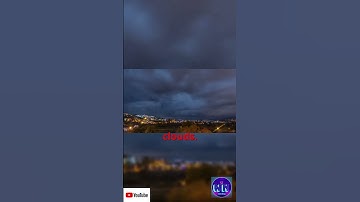 Can Bee Swarms Act Like Electrically Charged Clouds? Surprising Scientific Discovery#science#nature