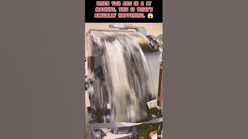 THIS IS WHAT YOUR BODY GOES INTO 🤯