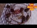 Mouse Trap In Fan Cage | Catch a Mouse In Home Easy Idea | Funny Mouse Trap