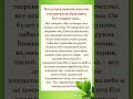Когда ты в замешательстве относительно будущего, Бог говорит тебе