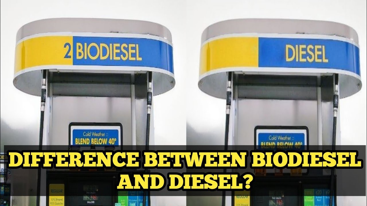 Difference between biodiesel and diesel? - YouTube
