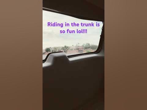 Riding in the trunk - YouTube