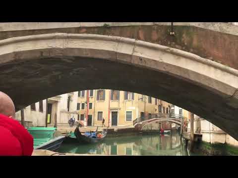 Бейне: Венециядағы такси