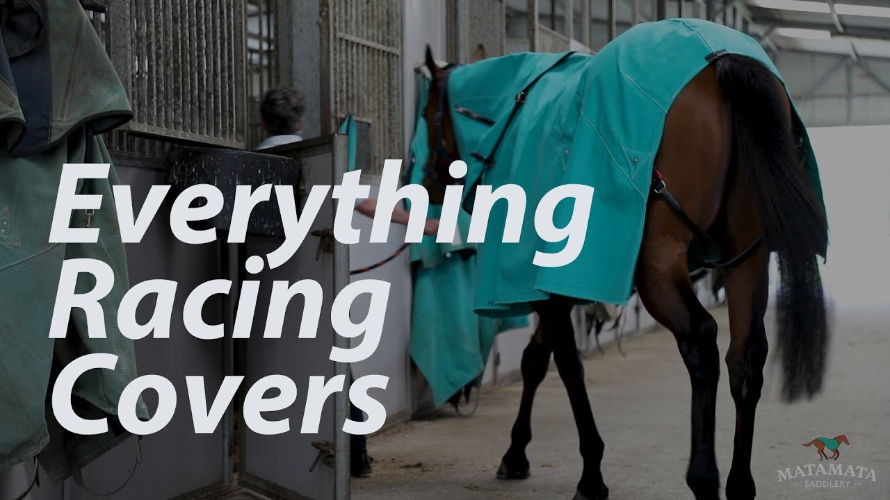 Matamata Saddlery Foxbridge Racing Covers, Matamata New Zealand YouTube