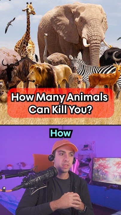 How Many Animals Can Kill You YouTube how-many-animals-can-kill-you-youtube