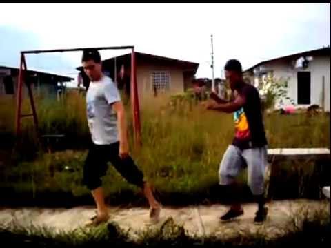 passa 2013