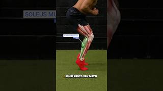 3 Muscles You NEED to Train as a Sprinter