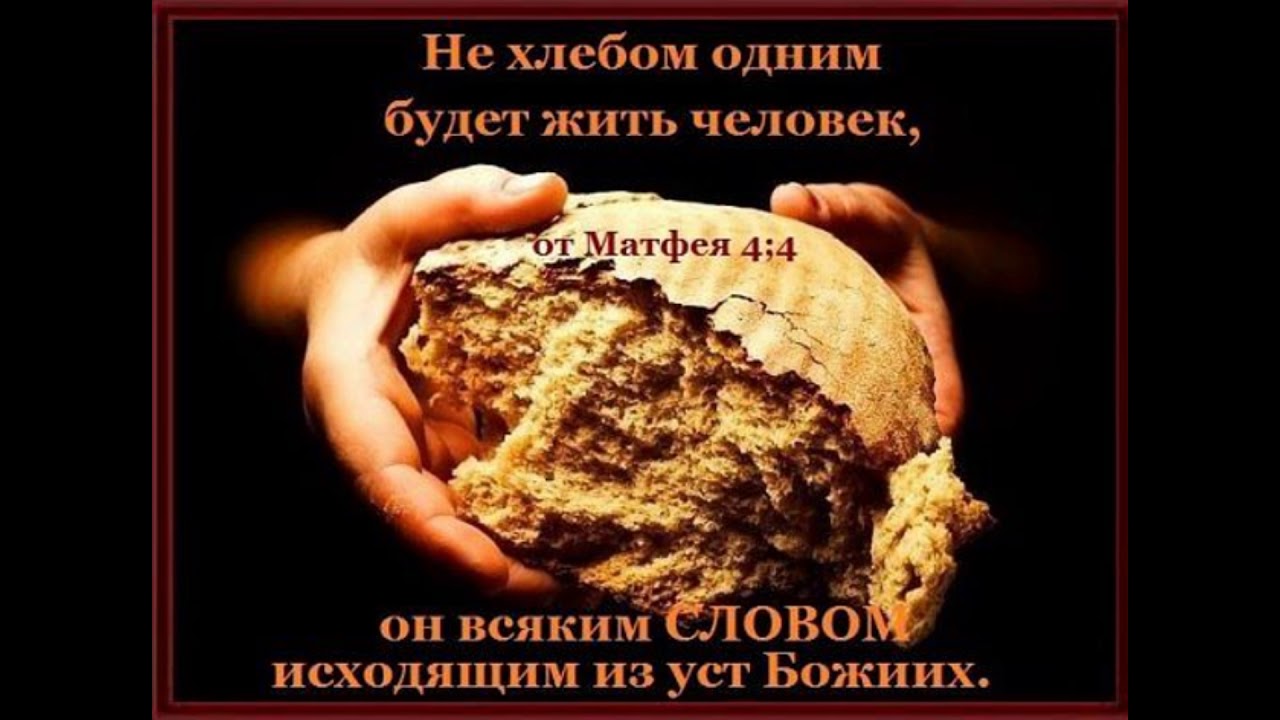 хлеб и библия. одним хлебом жив не будешь. не хлебом единым жив человек библия. одним хлебом жив не будешь. библейские цитаты на каждый день.