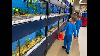 Picking a perfect fish 🐠 pet at Petco😝🐠👌