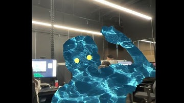 Unity Barracuda sample (BlazeFace + Segmentation)