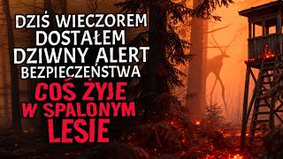 Dziś Wieczorem Dostałem Dziwny Alert Bezpieczeństwa. Coś Żyje w Spalonym Lesie za Miasteczkiem.