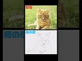 【絵心教室DS】day14 ビッグフットで鉛筆画をさらに知る。