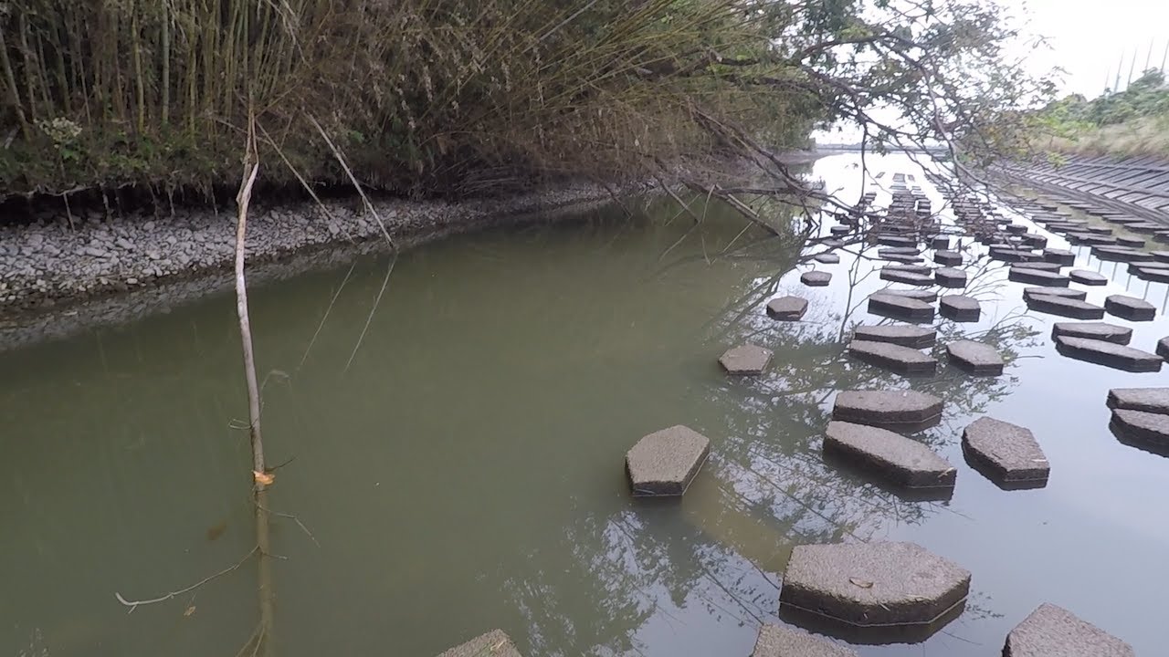 相模川で「今が激アツ」だという猿ヶ島で釣りしてみた！！ - YouTube