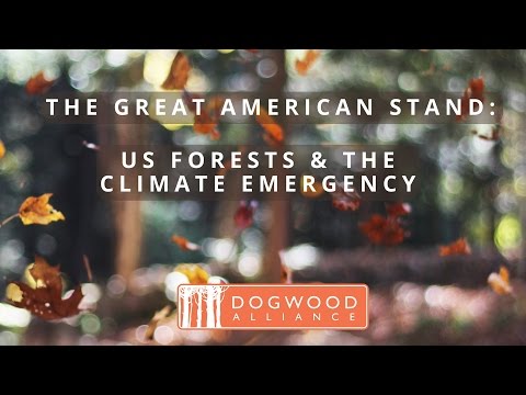 The Great American Stand: US Forests & The Climate Emergency