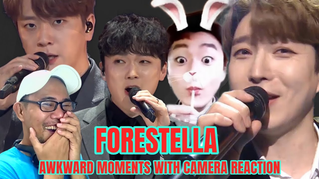 포레스텔라 Forestella - Akward Moments With Camera REACTION