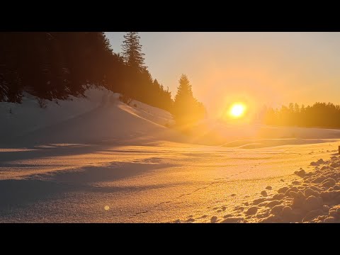 АВСТРИЙСКОЕ РЕЗИДЕНТСТВО?