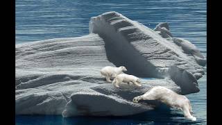 What is an Iceberg?