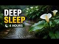 4 Hours of Gentle Rain by a Calla Lily Stream | Deep Sleep & Stress Relief