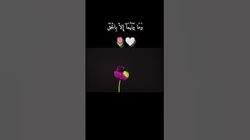 سورة الحجر:[85-86]💚|القارئ هزاع البلوشي🤍🕊️ #قران_كريم #متابعة