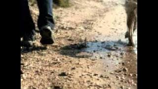 Slávek Janoušek - Pochodové Cvičení