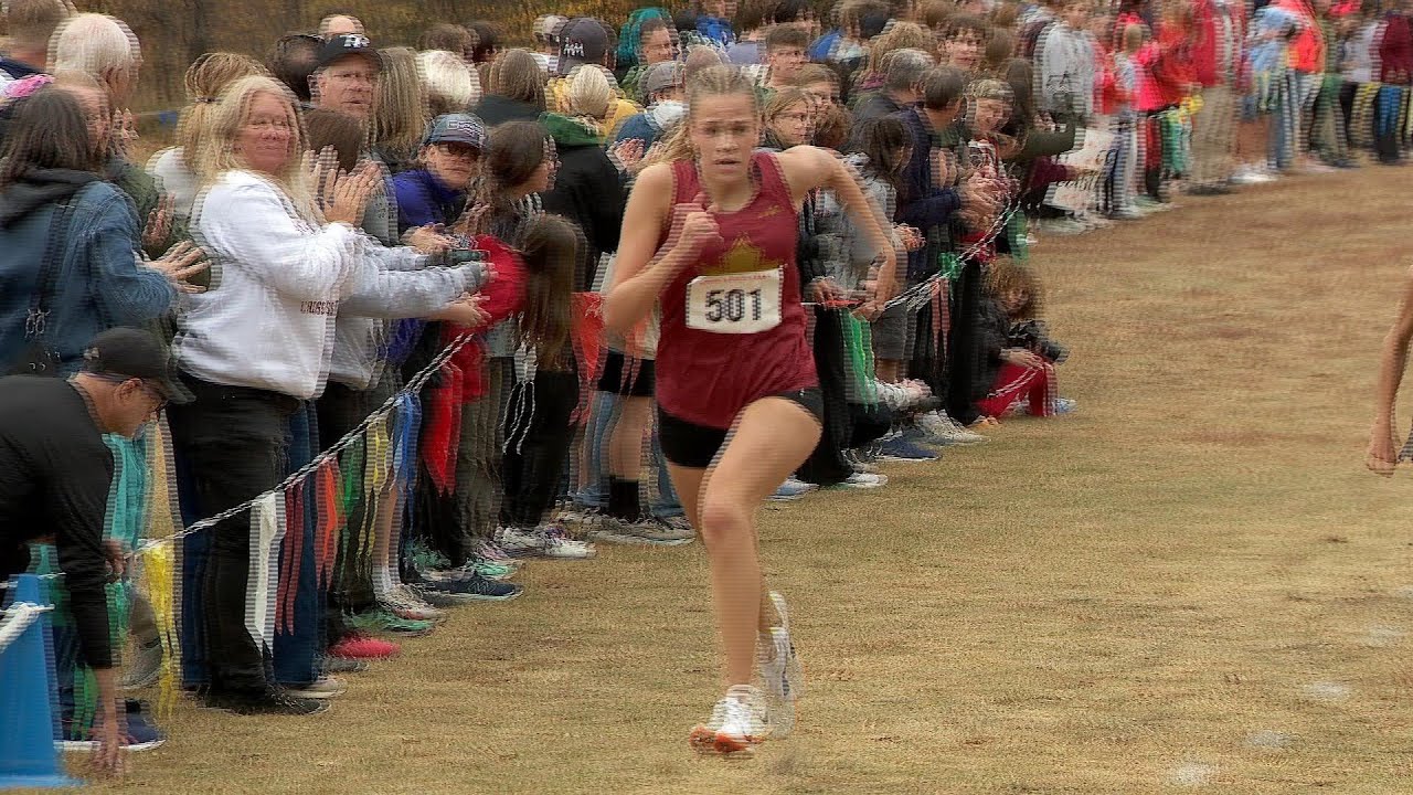 Twelve Local Boys and Girls 5AAA Cross Country Runners Qualify for ...