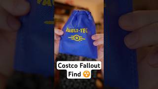 A LEGENDARY find ☢️ #fallout #interesting #dnd #deckofdmthings