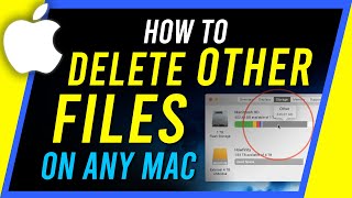 How To Delete 'Other' Files From Any Mac