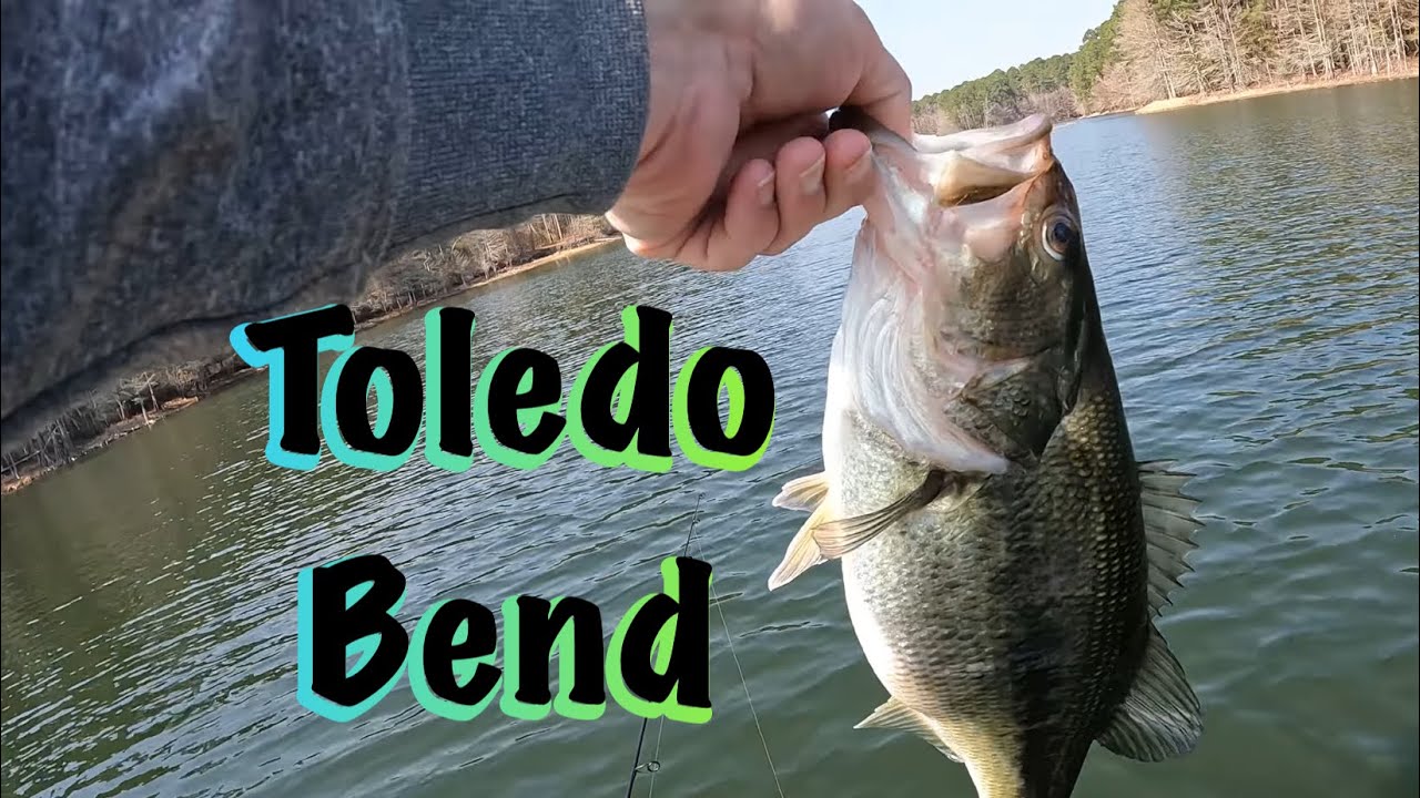 Toledo Bend Springtime FISHING for bass