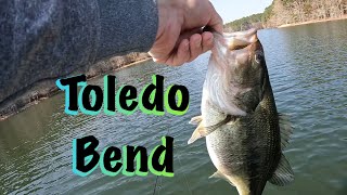 Toledo Bend Springtime FISHING for bass