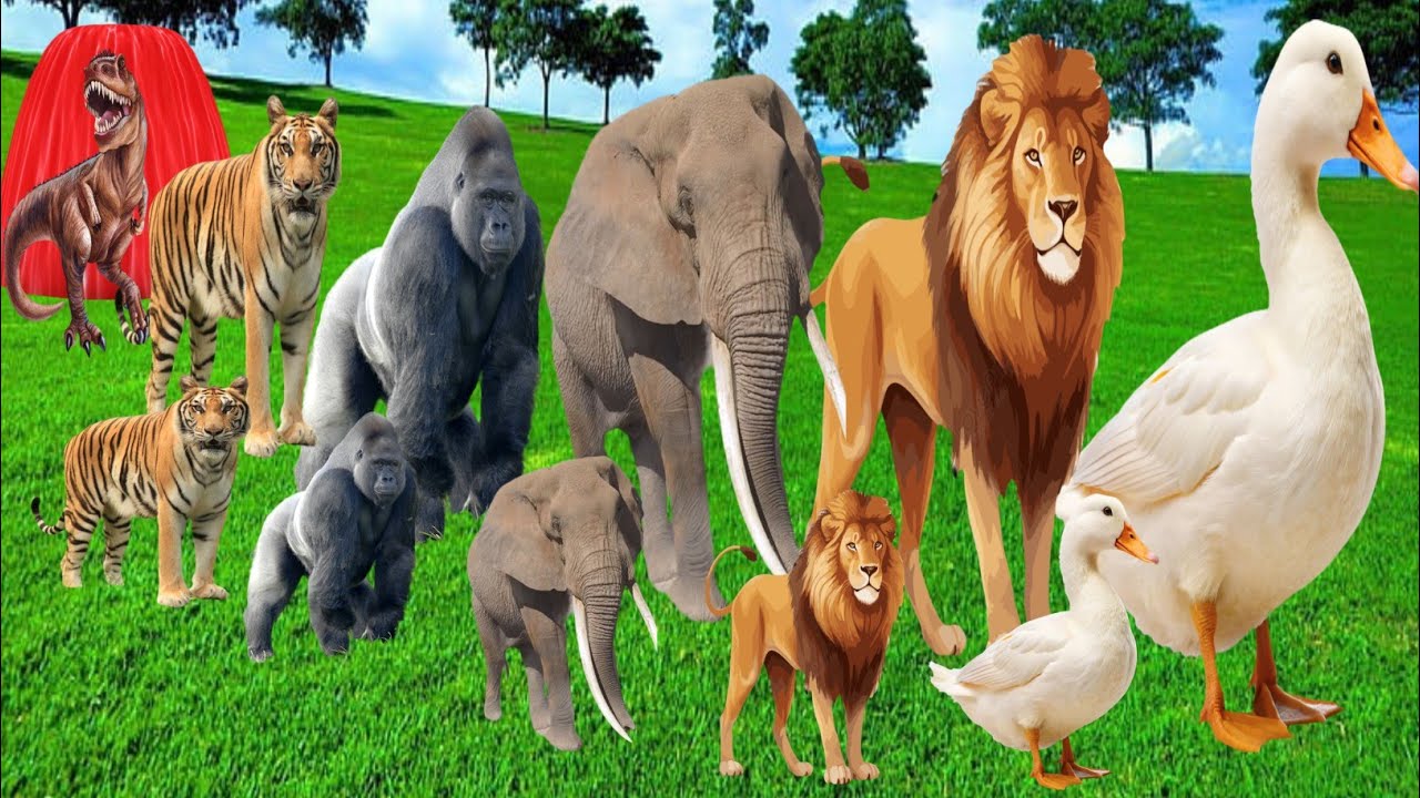 Animal fountain crossing | Lion, Duck, Elephant, Monkey, Dynasor, Tiger, Cow, | Animals Video 