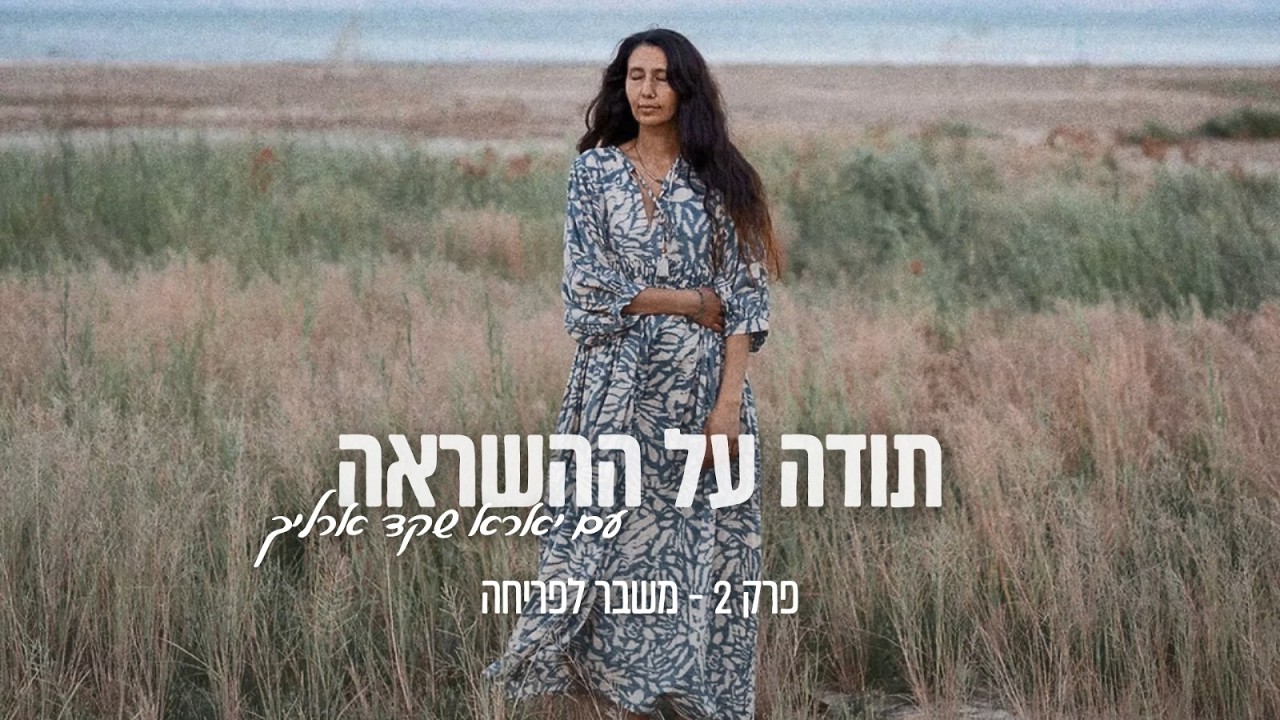 תודה על ההשראה - פרק 2 - משבר לפריחה