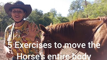 5 Riding Exercises that Move all the parts of the horse from Head to Hindquarters