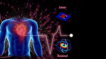 Combined Seismo- and Gyro-cardiography