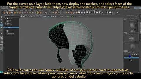 Polygon to Xgen Tutorial (Eng/Esp)