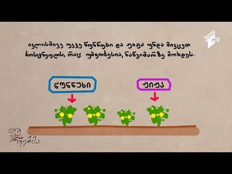 ფერმერის სარჩევი: ივლისში ბაღსა და ბოსტანში ჩასატარებელი აგროღონისძიებები