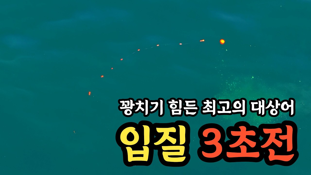 비진도 갯바위 벵에돔 낚시