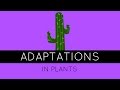 Adaptations in Plants - How Do Plants Adapt To Different ...