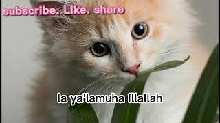 Hallaka sirrun 'indallah Lirik