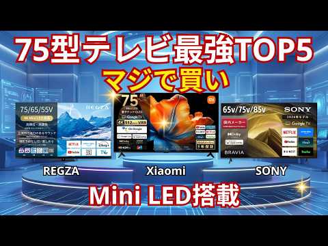 忖度なし比較】2026年最新！75インチテレビおすすめTOP5｜コスパ最強の