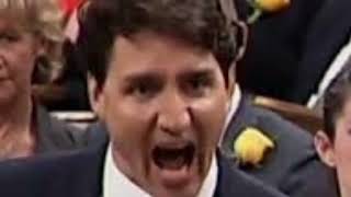 Stuart Varney: Trudeau's war with Canadian truckers is costing him