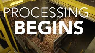 How We Make Our Pistachios