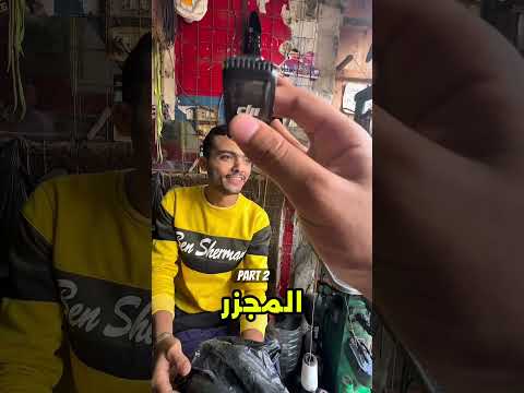 The Egyptian Man In A Nutshell Part 2 Sorts