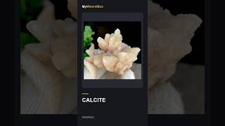 Video preview: Pale Pink Calcite — Guizhou, China | Natural Mineral Specimen